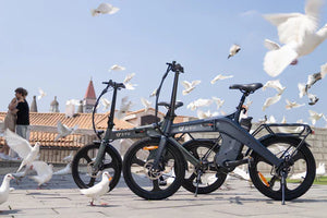 Dyu T1 FOLDING bike