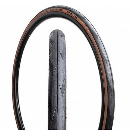 Riepa Schwalbe Pro One EVO SuperRace V-Guard 28x1.25 [32-622] Tubeless melna/brūna