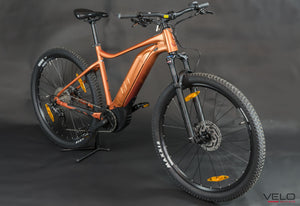 Liv Tempt E+ 1 (2023) Copper Coin