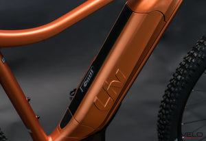 Liv Tempt E+ 1 (2023) Copper Coin