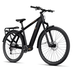 Elektriskais velosipēds TENVEJS AGO X, 29