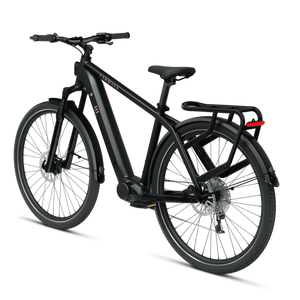 Elektriskais velosipēds TENVEJS AGO X, 29