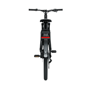 Elektriskais velosipēds TENVEJS AGO X, 29