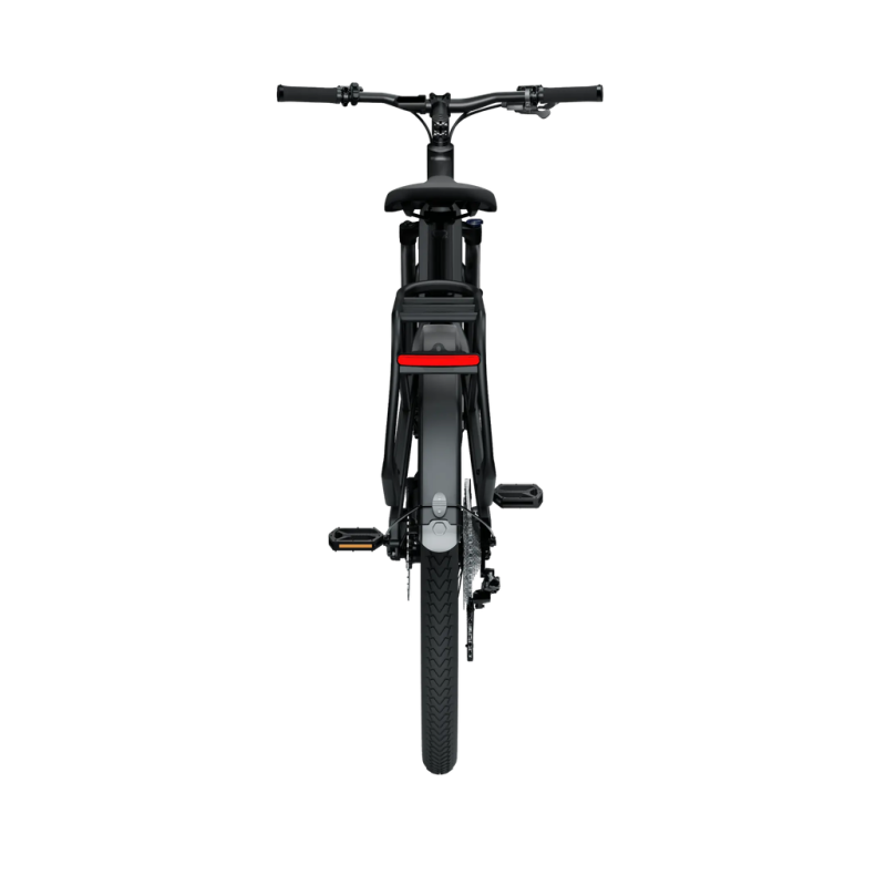 Elektriskais velosipēds TENVEJS AGO X, 29